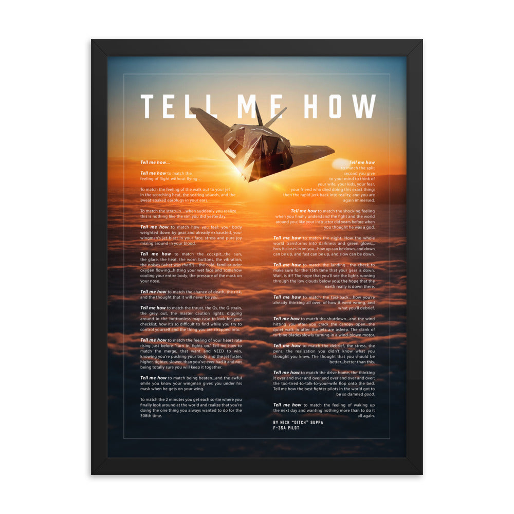 F-117 Nighthawk, Framed and ready to hang with the Tell Me How description of military flight.