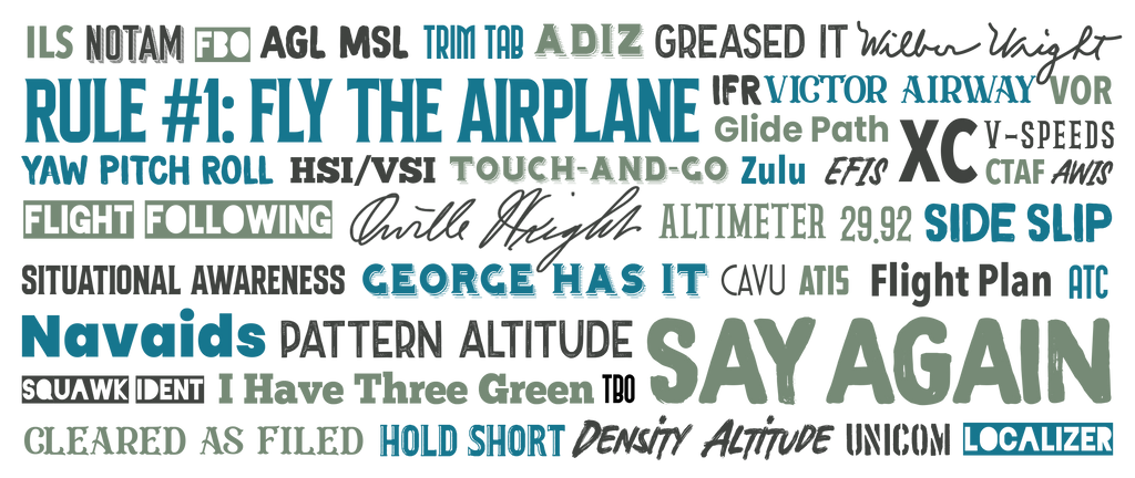 Say Again Mug With The Words Used By Private Pilots