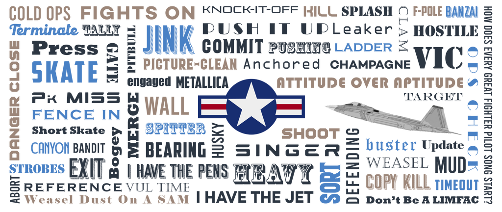 Say Again Mug With F-22 and Fighter Pilot Words.