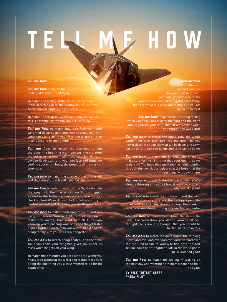 F-117 Nighthawk with the Tell Me How description of flight. This is a museum quality poster on ultra premium luster photo paper.