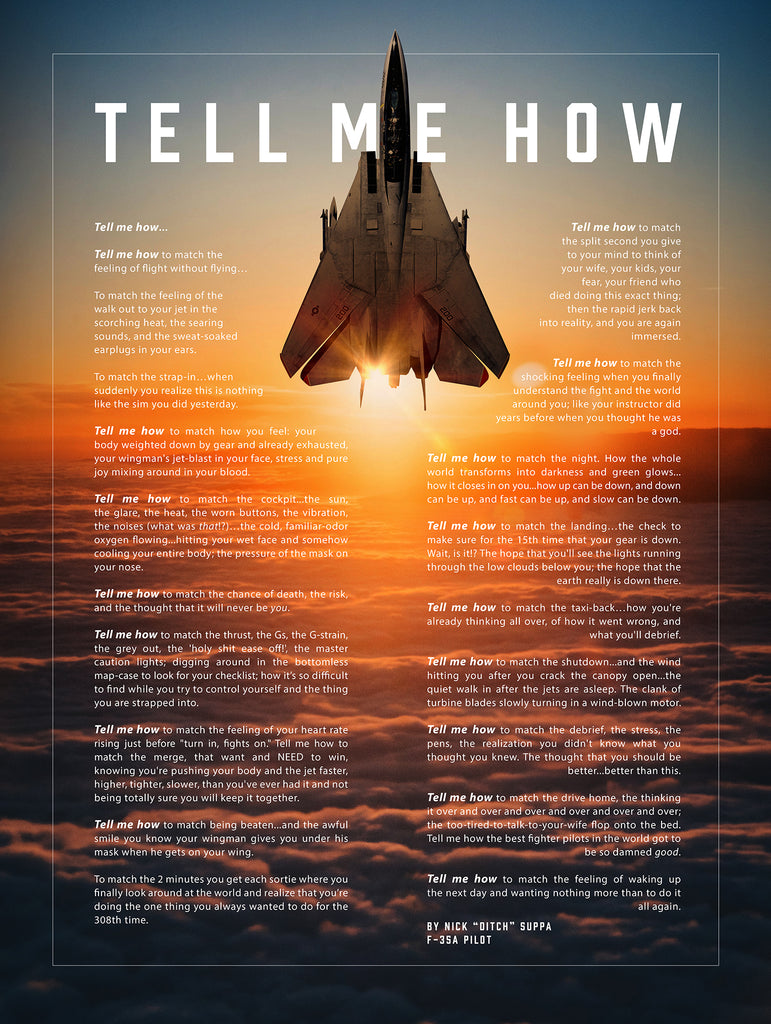 F-14 Tomcat with the Tell Me How description of flight. This is a museum quality poster on ultra premium luster photo paper.