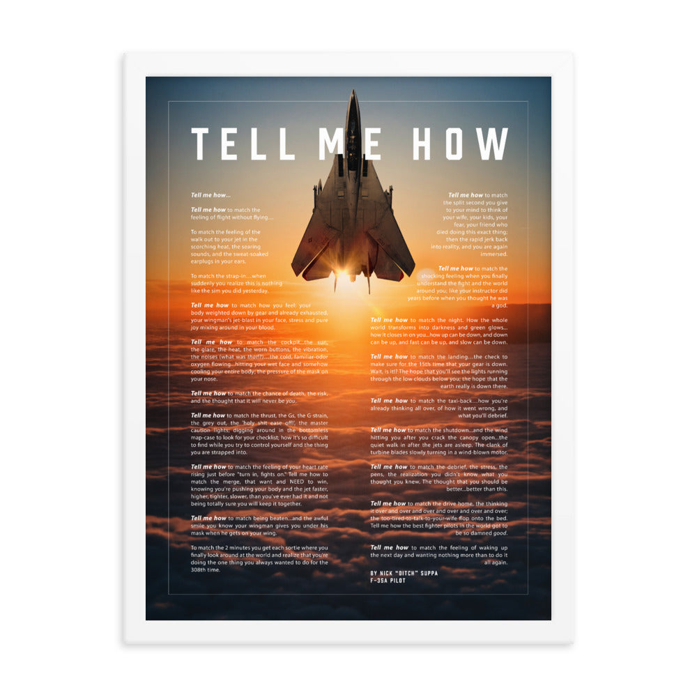 F-14 Tomcat Framed and ready to hang with the Tell Me How description of military flight.