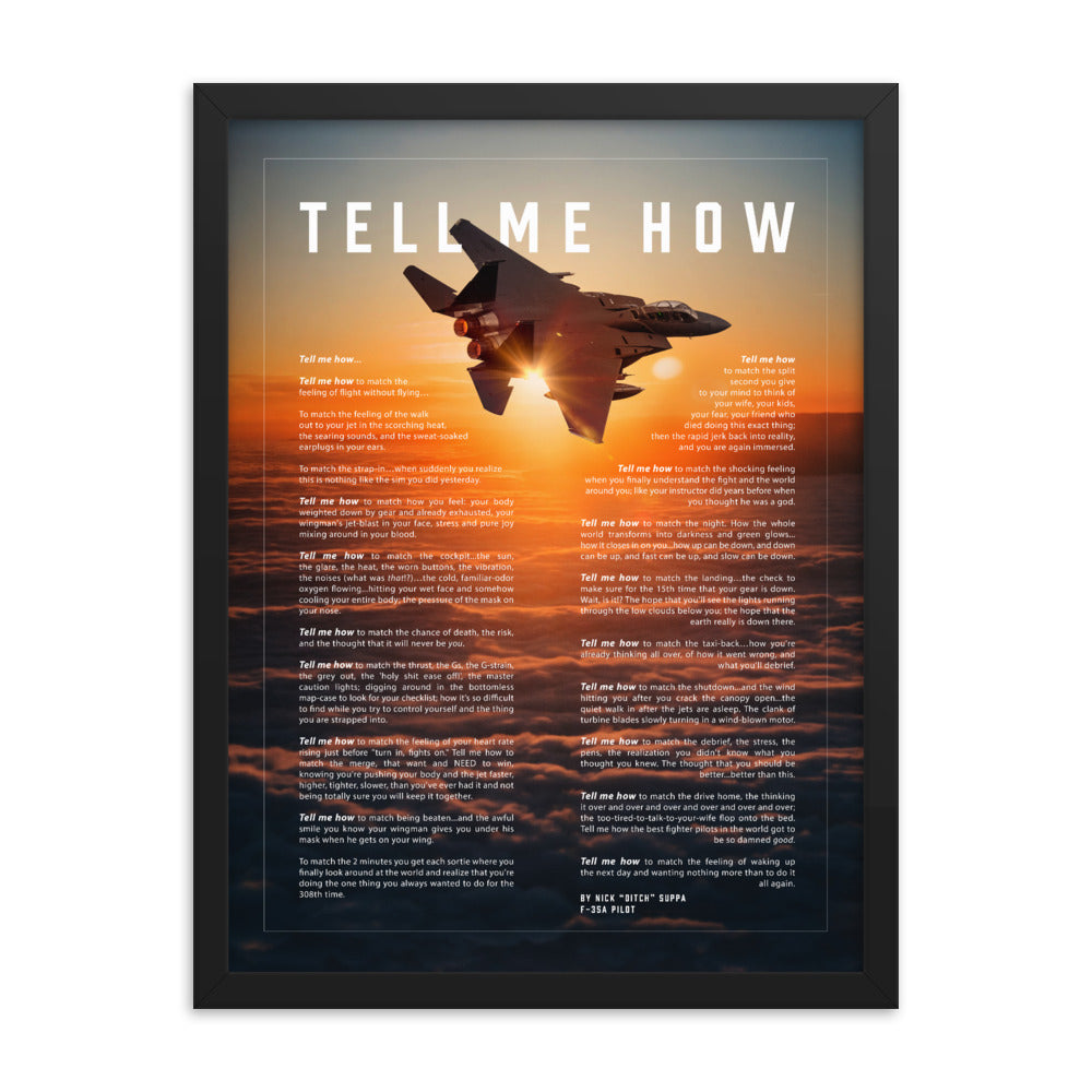 F-15E Strike Eagle Framed and ready to hang with the Tell Me How description of military flight.