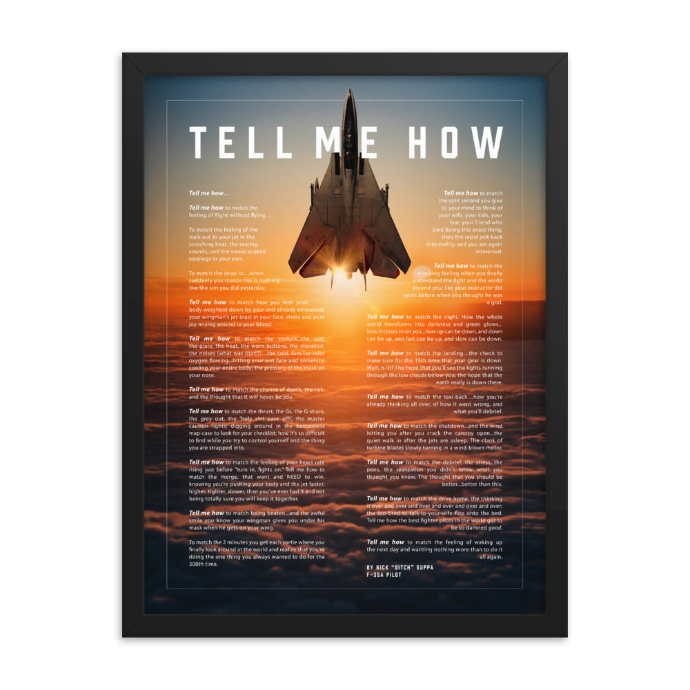 F-14 Tomcat Framed and ready to hang with the Tell Me How description of military flight.