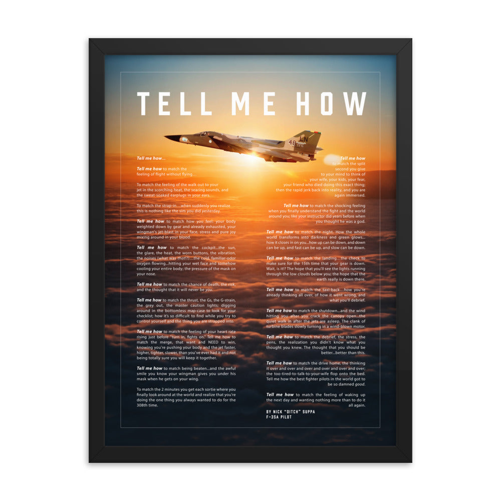 F-111F deep interdiction bomber, Framed and ready to hang with the Tell Me How description of military flight.