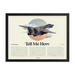 New! Our F-14 AirPower Portrait  Framed