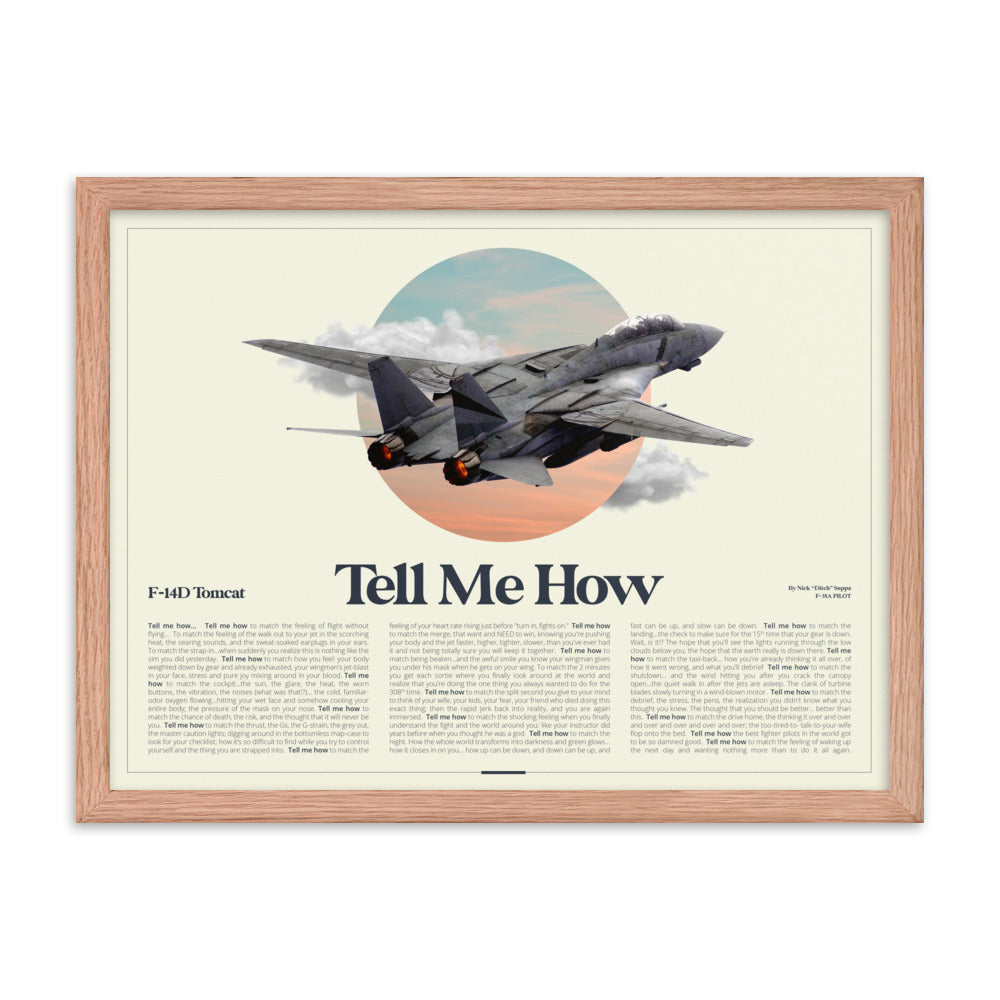 New! Our F-14 AirPower Portrait  Framed