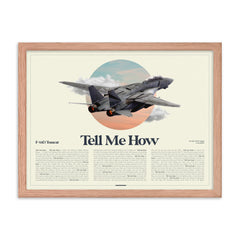 New! Our F-14 AirPower Portrait  Framed