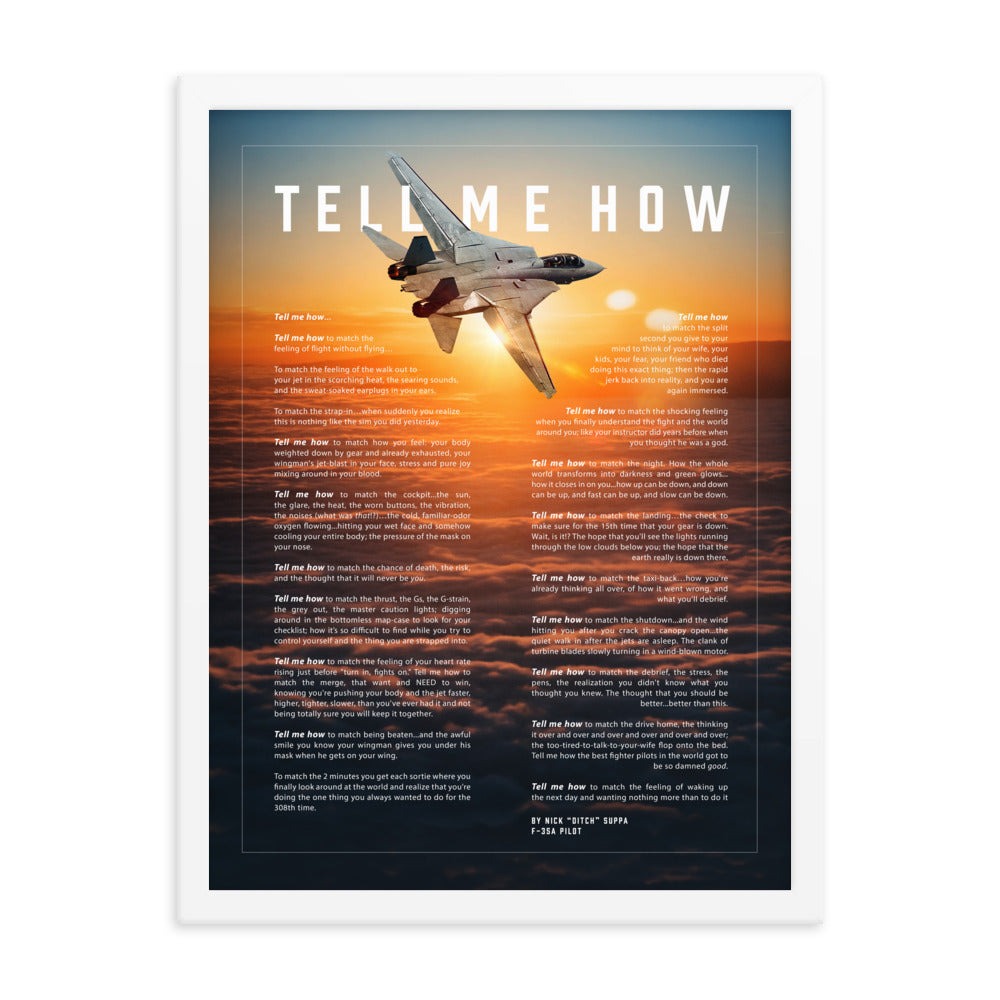 F-14 Tomcat, Version 2, Framed and ready to hang with the Tell Me How description of military flight.