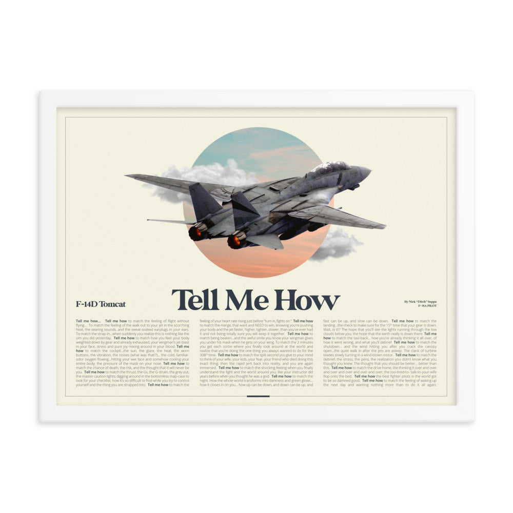 New! Our F-14 AirPower Portrait  Framed