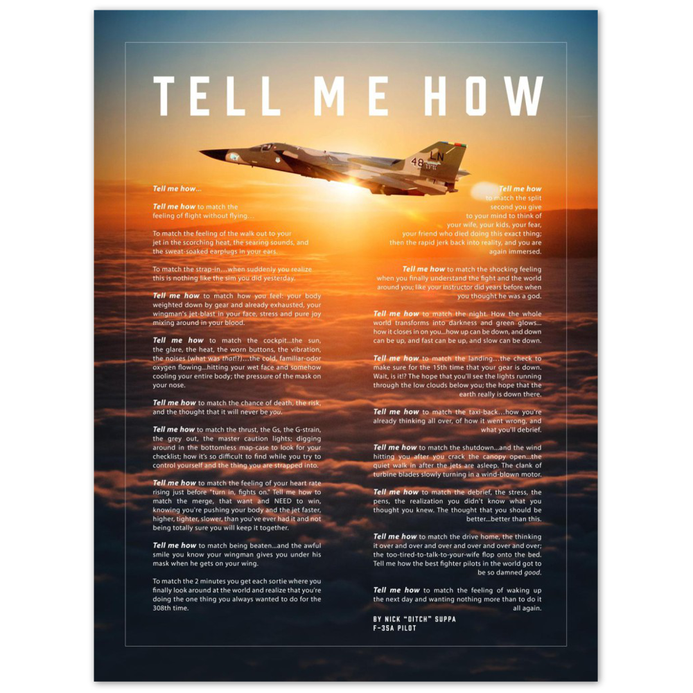 F-111F Metallic print ready to hang with the Tell Me How description of military flight.  Bomber series.