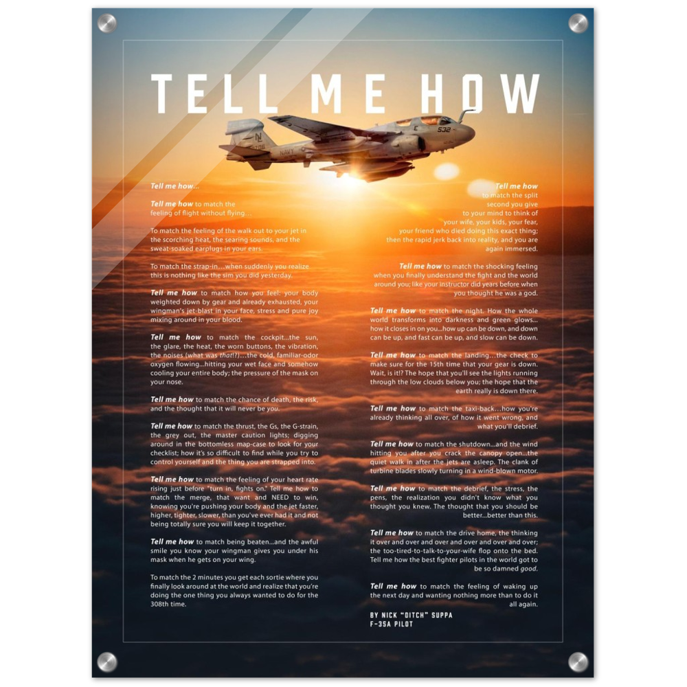 EA-6B Prowler Acrylic With The Tell Me How Description Of Military Flight.