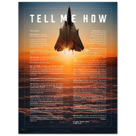 F-14 Tomcat Metallic print ready to hang with the Tell Me How description of military flight.
