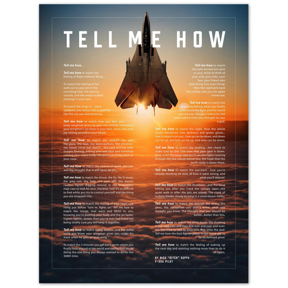 F-14 Tomcat Metallic print ready to hang with the Tell Me How description of military flight.