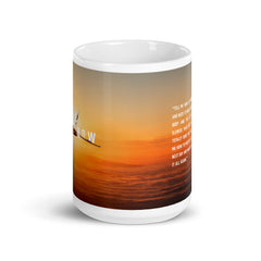 RA-5C Vigilante mug with best Tell Me How quote. Vietnam series.