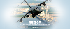 The Moose Over Charleston - C-17 Globemaster, Aviation Mug, Freedom Is Not A White Picket Fence,  Pilot Gift, Loadmaster Gift