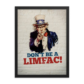 LIMFAC. Don't Be a LIMFAC poster, framed and ready to be hung on your wall.