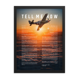 World War II Collection, P51 Mustang with sunset, framed and ready for hanging
