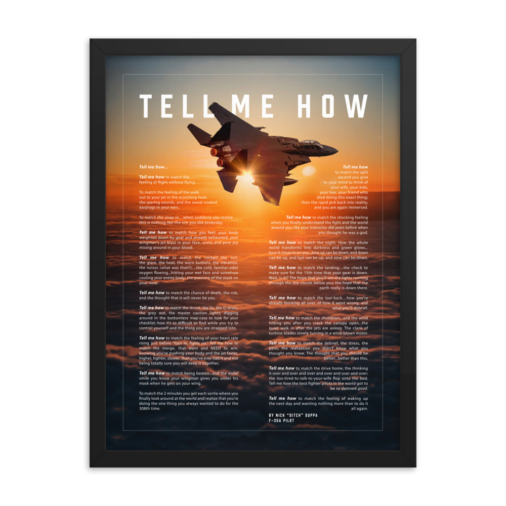 F-15E Strike Eagle, Framed and ready to hang with the Tell Me How description of military flight. All ages version