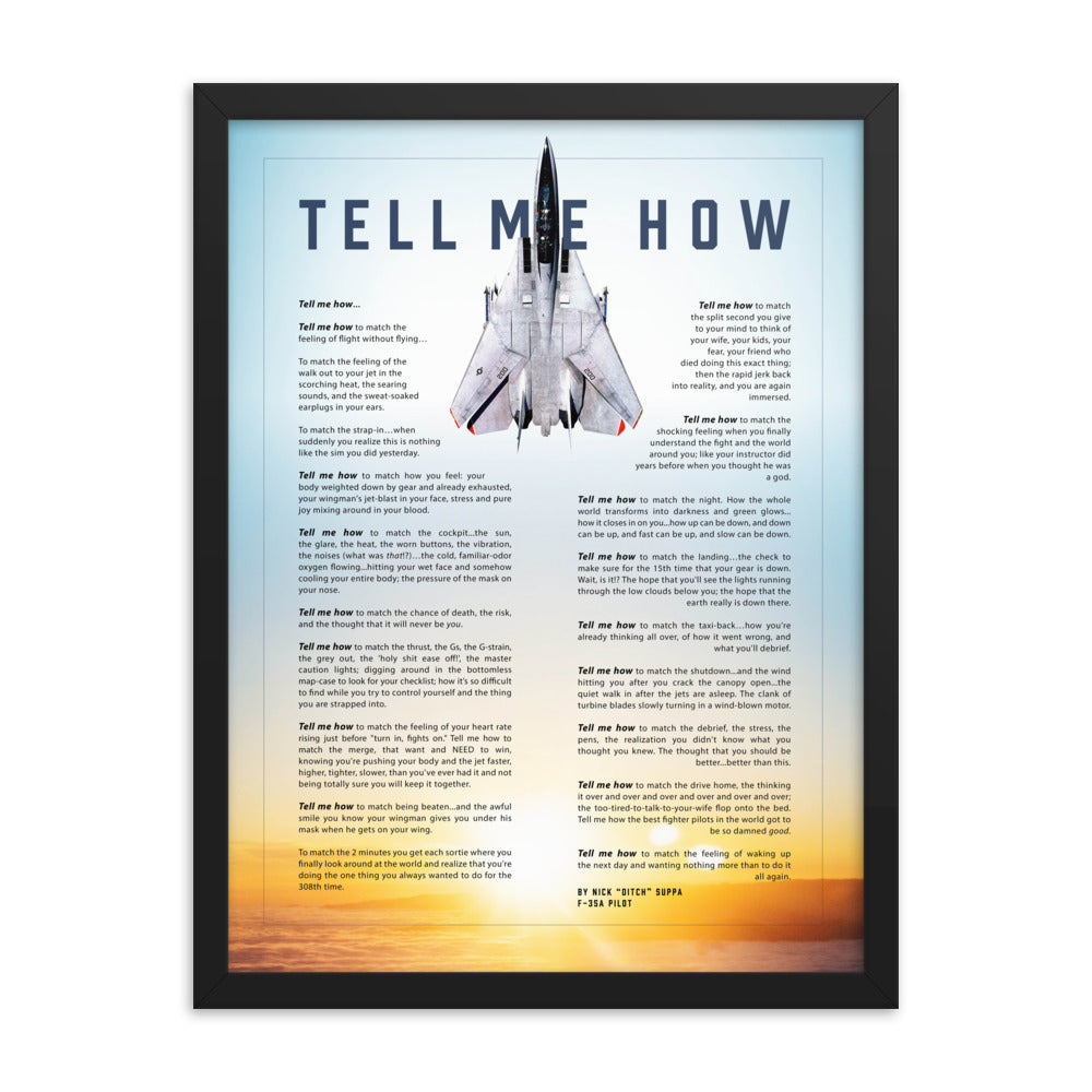 F-14 Tomcat with blue sky. Framed and ready to hang with the Tell Me How description of military flight.