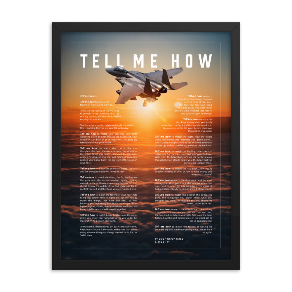 F-15 Eagle, version 2. Framed and ready to hang with the Tell Me How description of military flight.