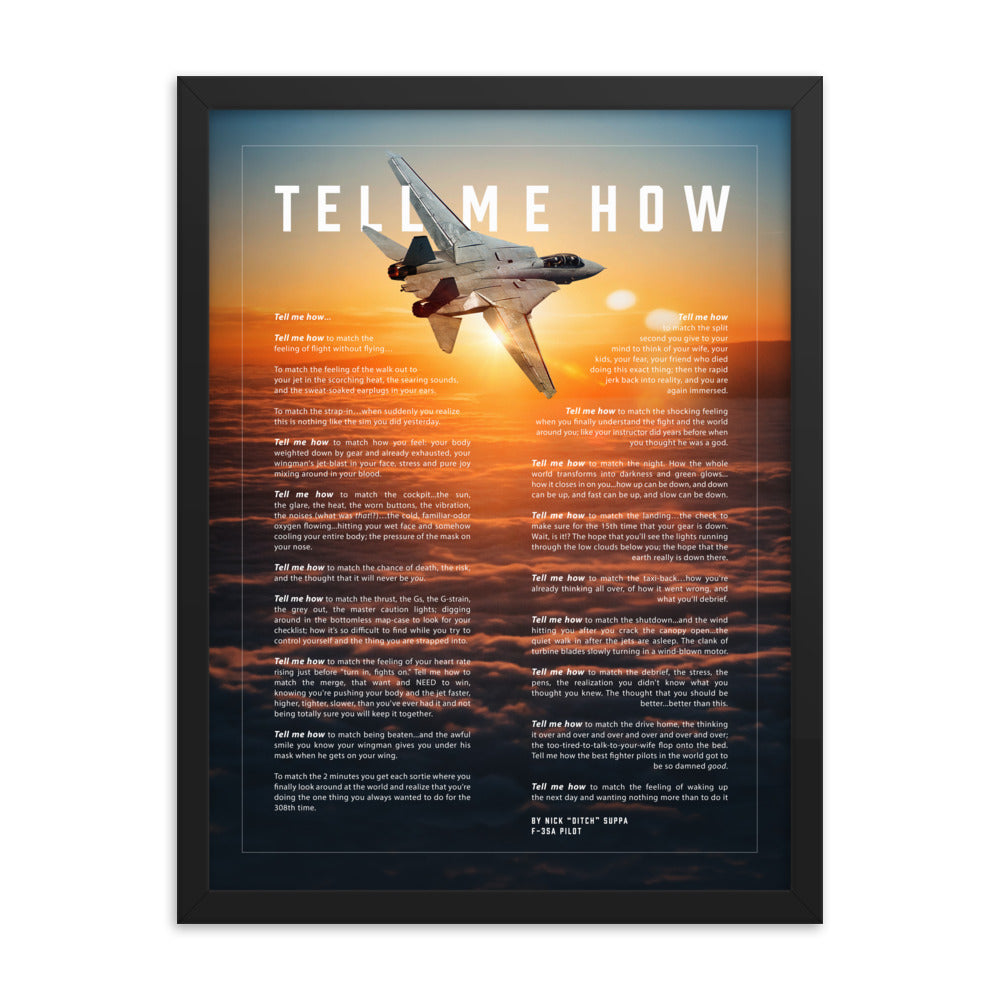F-14 Tomcat, Version 2, Framed and ready to hang with the Tell Me How description of military flight.
