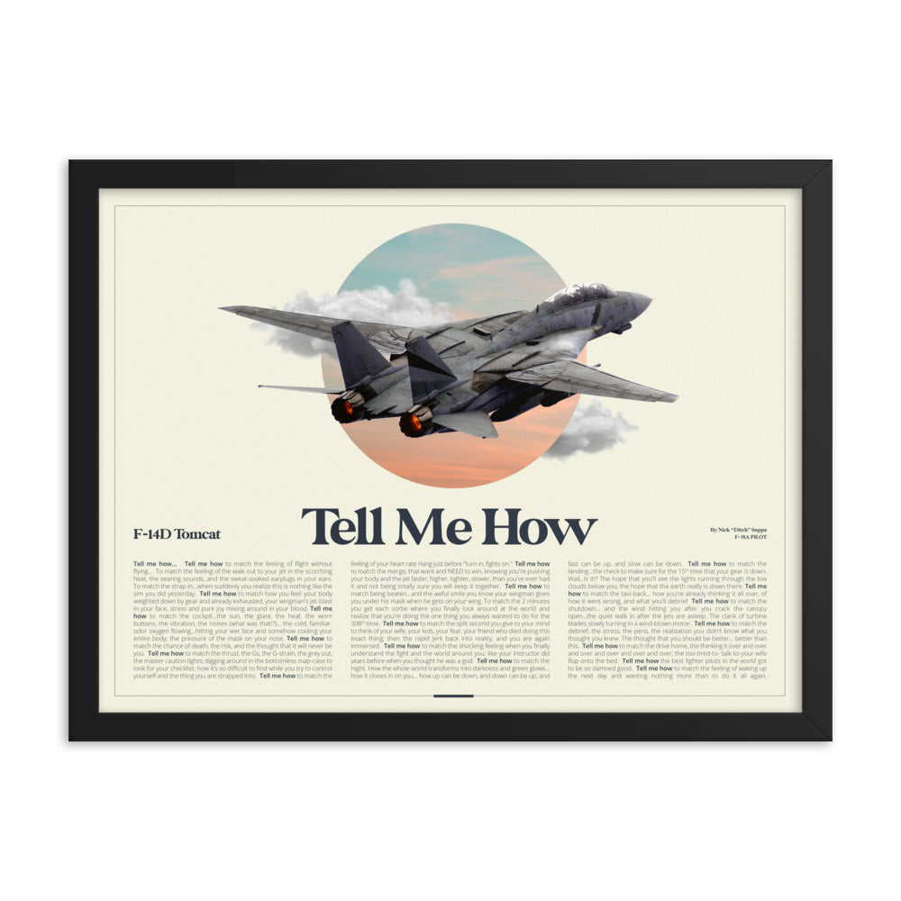 New! Our F-14 AirPower Portrait  Framed