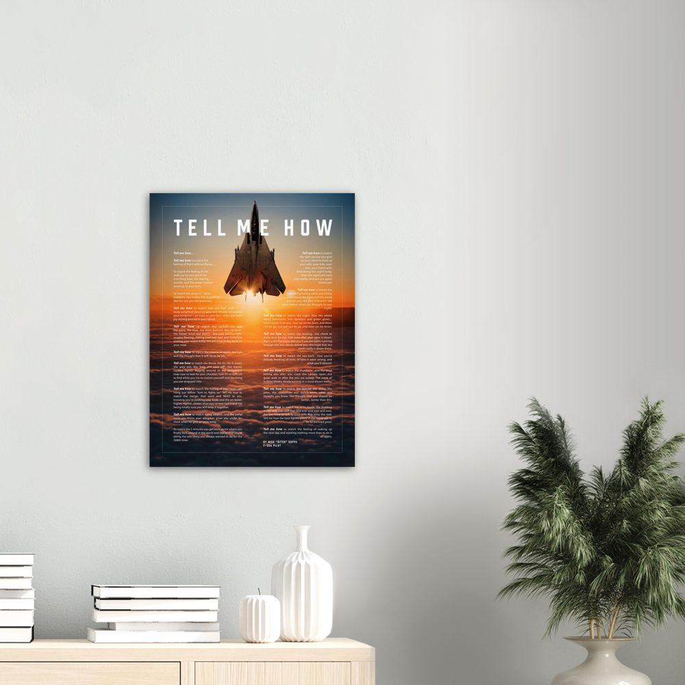 F-14 Tomcat Metallic print ready to hang with the Tell Me How description of military flight.